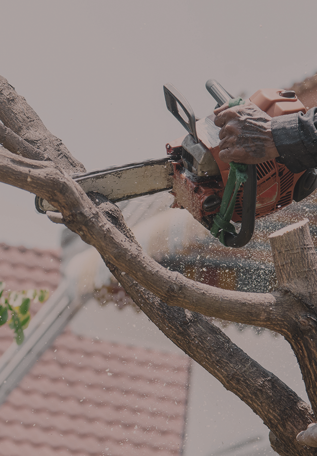 人と街をつなぐ仕事総合建設業の西村工業