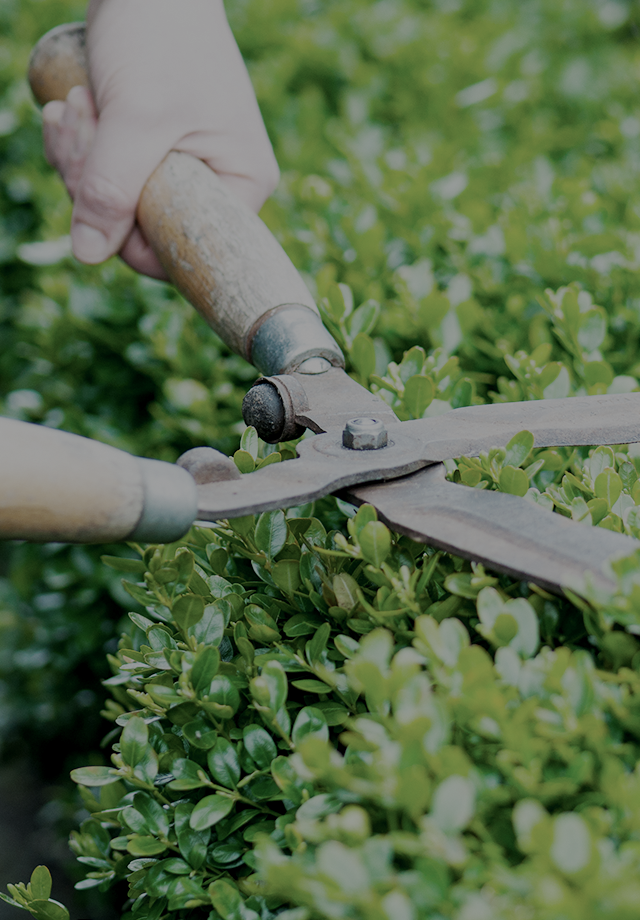 人と街をつなぐ仕事総合建設業の西村工業
